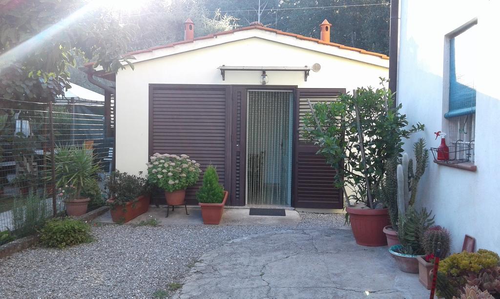 Da Lilly Apartment Lucca Exterior foto